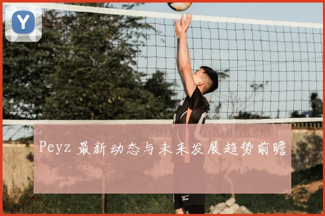 Peyz 最新动态与未来发展趋势前瞻