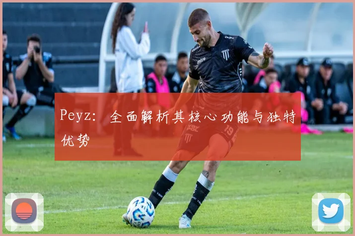 Peyz：全面解析其核心功能与独特优势