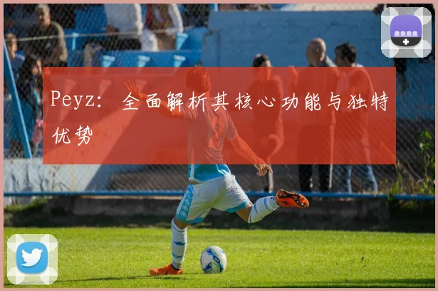 Peyz:全面解析其核心功能与独特优势
