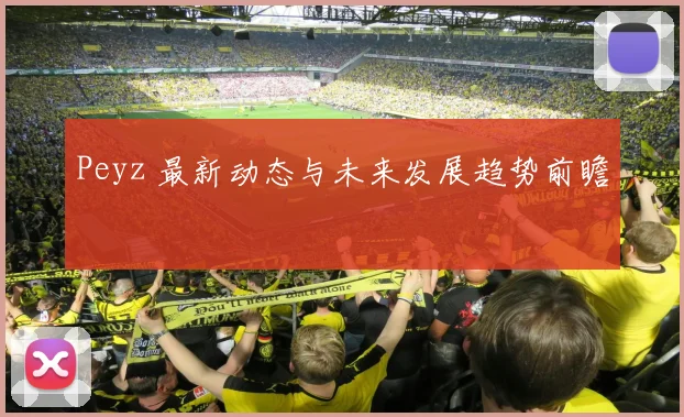 Peyz 最新动态与未来发展趋势前瞻